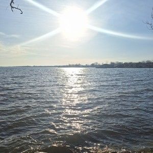 Meet your Posher, Posh